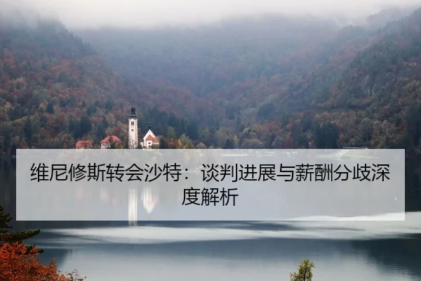 维尼修斯转会沙特：谈判进展与薪酬分歧深度解析