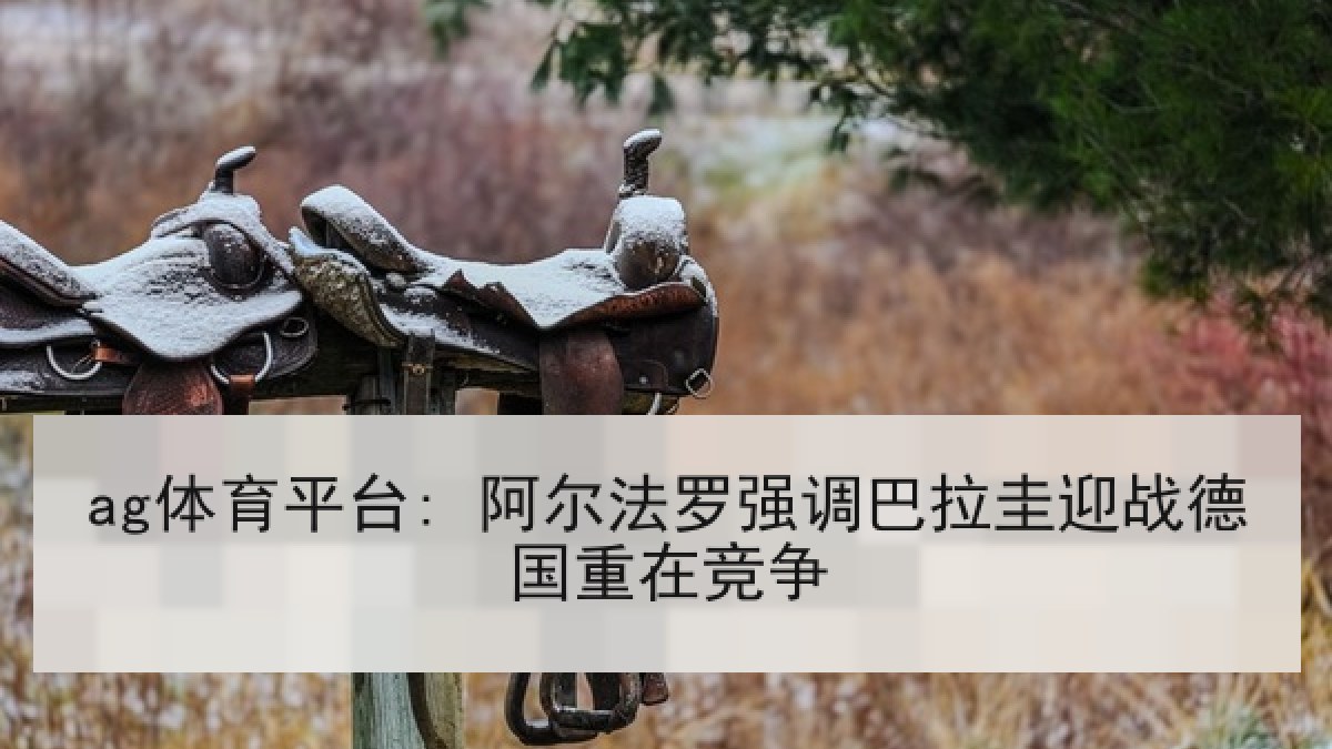 ag体育平台: 阿尔法罗强调巴拉圭迎战德国重在竞争